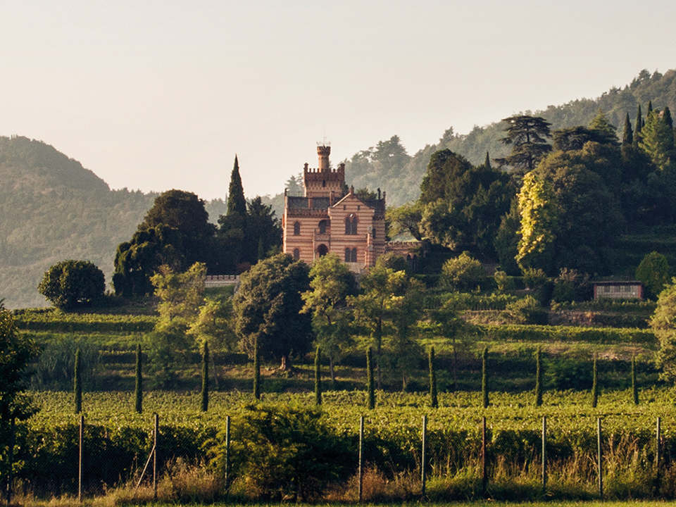 Paladin Castello Bonomi